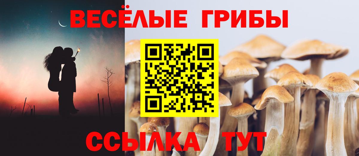 Галлюциногенные грибы Cubensis  Вход с VPN  Псилоцибиновые грибы Magic Shrooms  Жигулёвск 